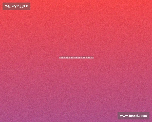 天空体育报道：维萨转会接近完成 纽卡斯尔谈判进入关键时刻