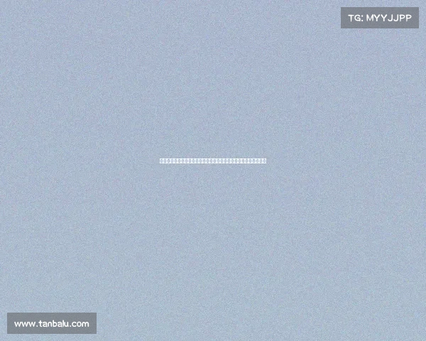 德甲左边卫的崛起与挑战分析：技术特点、战术地位与未来发展趋势